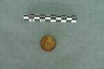 jeton, image 1/3