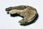 chaussure, fragment, image 2/2
