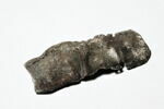 semelle de chaussure, image 1/2