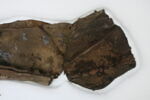 objet indéterminé, fragment, image 4/7