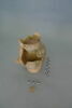 pichet, image 3/3