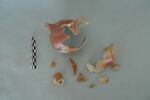 chevrette, image 1/3