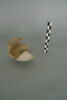tasse, image 3/3