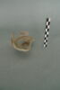 tasse, image 3/3