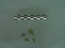 plaque, fragment, image 1/3