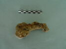 clef, image 3/3