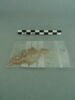 objet indéterminé, fragment, image 3/3