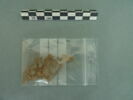 objet indéterminé, fragment, image 2/3