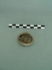 vitrail, fragment, image 3/3