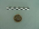 vitrail, fragment, image 2/3