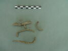 vitrail, image 1/3