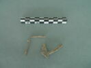 vitrail, image 1/3