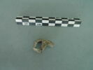 vitrail, image 3/3