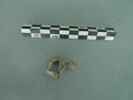 vitrail, image 1/3