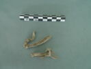 vitrail, image 1/3