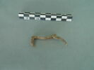 objet indéterminé, fragment, image 2/3