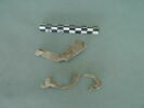 objet indéterminé, fragment, image 1/3
