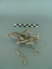vitrail, image 3/3