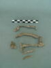 vitrail, image 3/3