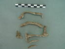 vitrail, image 1/3