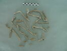 vitrail, image 1/3