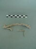 vitrail, image 3/3