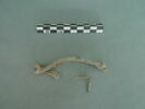 vitrail, image 1/3