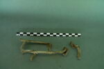 vitrail, image 3/3