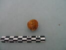 nodule, image 2/3