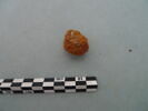 nodule, image 1/3