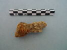 nodule, image 3/3