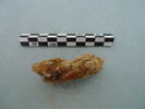 nodule, image 2/3
