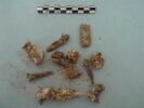 nodule ; clou, image 2/3
