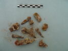 nodule ; clou, image 1/3