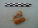 nodule, image 3/3
