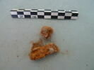 nodule, image 2/3