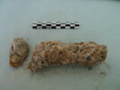 nodule, image 2/3