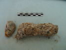 nodule, image 1/3