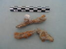 clou, image 3/3
