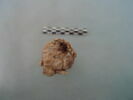 tuyau, fragment, image 1/3