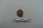 monnaie, image 1/3