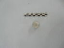 flacon cylindrique, fragment, image 2/3