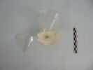 verre à jambe à bouton, image 2/3