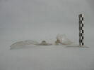 verre à jambe à bouton, image 3/3