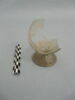 verre à pied, image 1/3