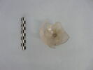 verre à pied, image 2/3