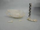 coupe, image 3/3