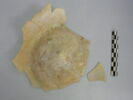 fiasque, image 2/3
