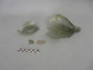 fiasque, image 1/3