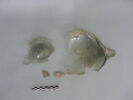 fiasque, image 2/3